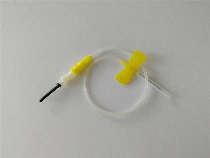 21G vlinderbloedafnamenaald